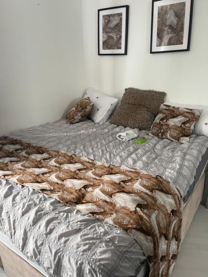 Spacious One Bedroom Ft In Central London King'S Cross Ngoại thất bức ảnh